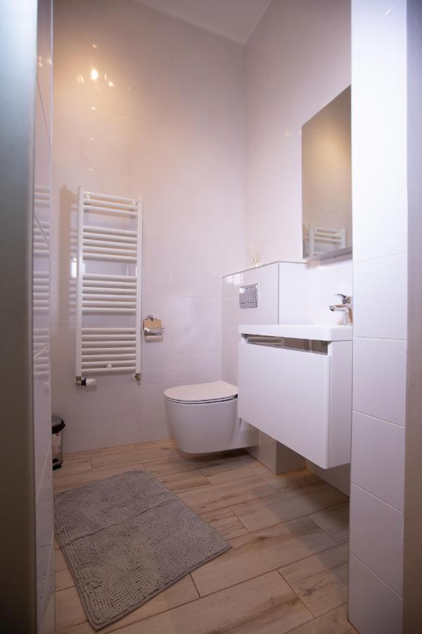Alessia Apartment In The Old Town Τιμισοάρα Εξωτερικό φωτογραφία